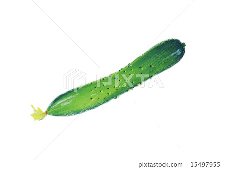 Cucumber cucumber cucumber 15497955