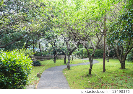 新井城堡遺址公園 15498375