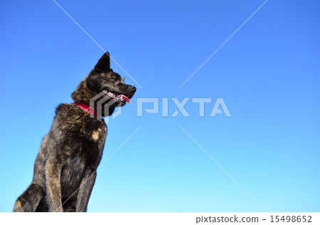 Refreshing ♪ Refreshing ♪ 15498652