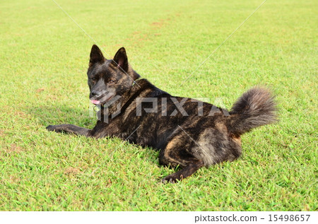 基地〜♪ 15498657