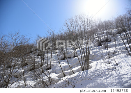 融雪的山和春天的木頭 長野縣北阿爾卑斯山大阪大町市通往麻99的道路 照片素材 圖片 圖庫