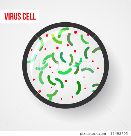 Anatomy of a bacterial cell 15498795
