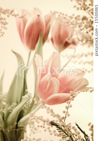 Spring bouquet with a mimosa and tulips. Toning Spring bouquet with a mimosa and tulips. Toning 15500865