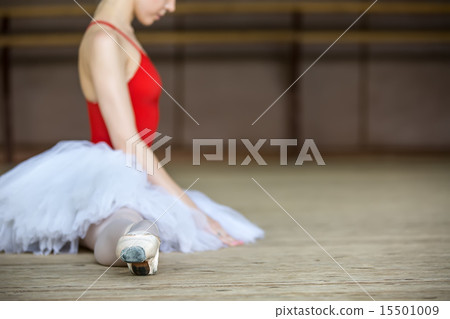 ballerina on tutu 15501009