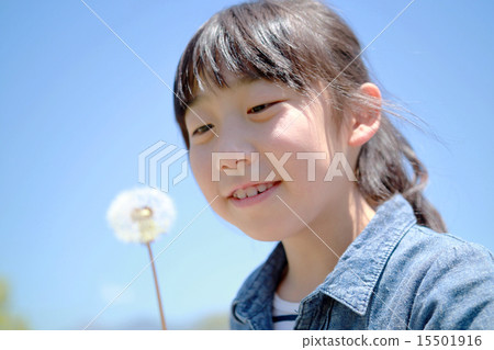 Girls dandelion down Girls dandelion down 15501916