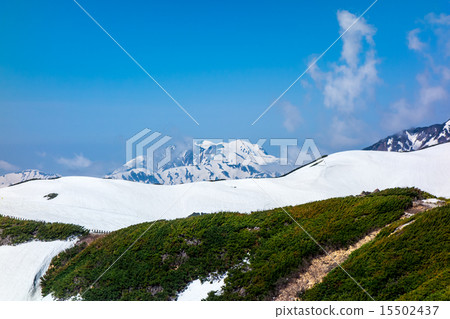立山山脈 15502437