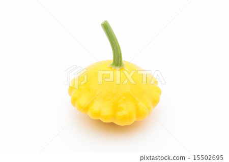 黃色帕蒂潘南瓜 黃色帕蒂潘南瓜 15502695