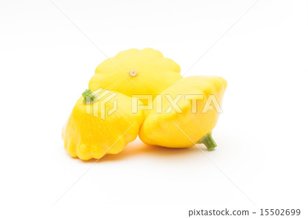 黃色帕蒂潘南瓜 黃色帕蒂潘南瓜 15502699