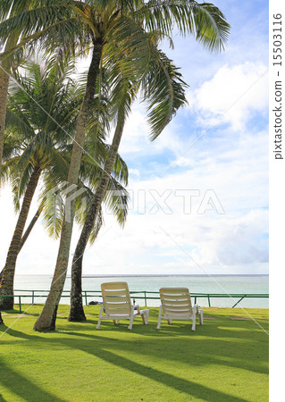 美麗的關島海灘和花園 15503116