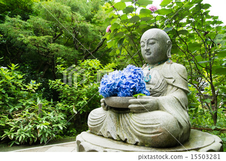 花想念Jizo Kamakura Aketsukuin 15503281