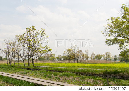 Uchino no Sato 15503407