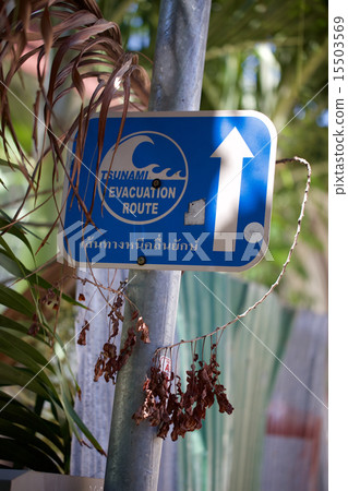 Thailand Phi Phi Island sign 15503569