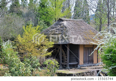 An old private house surrounded by fresh green 15503744