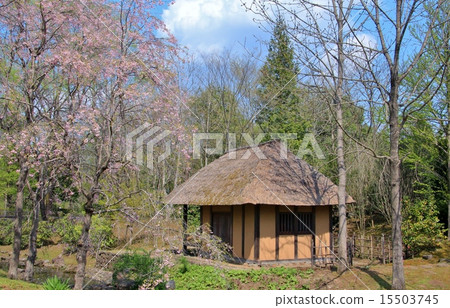 An old private house suffering gentle sunlight 15503745