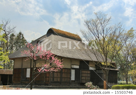 The appearance of a relaxed old private house 15503746