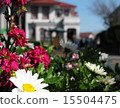 西式建築和鮮花 15504475