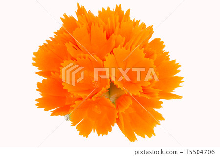 vegetable and fruit carved 15504706