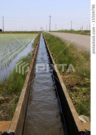 鄉村景觀：水路 15504796