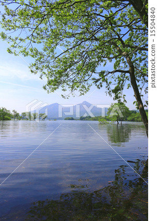 Hibara Lake in summer and Bandai mountain 15504840