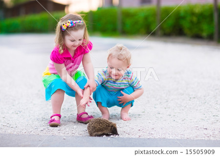Two kids watching a hedgehog 15505909