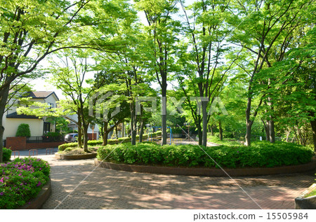 Tachibanado Park 15505984