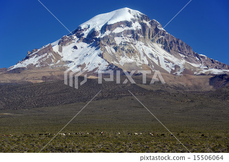 Bolivia Sahama National Park Sahama Mountain and Alpaca 15506064