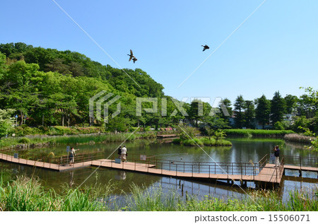 Mogi Park 15506071