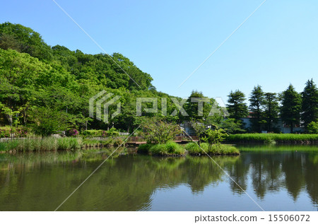 Mogi Park Mogi Park 15506072