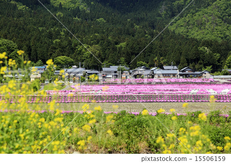 國家的初夏 15506159