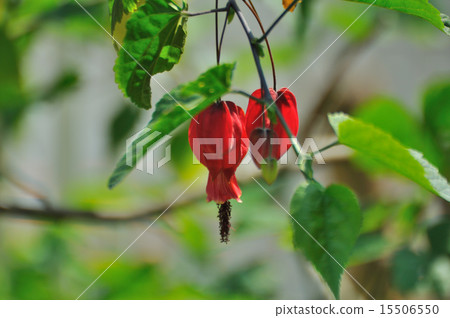 Tyrolean lamp 15506550