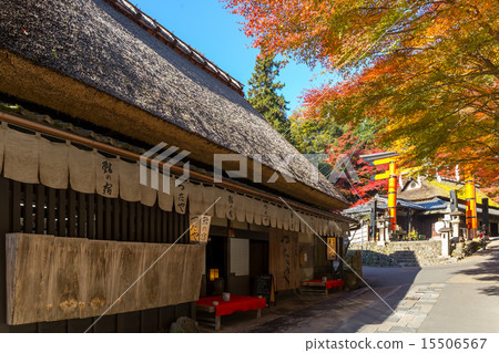 Saga Torii's autumn leaves Saga Torii's autumn leaves 15506567