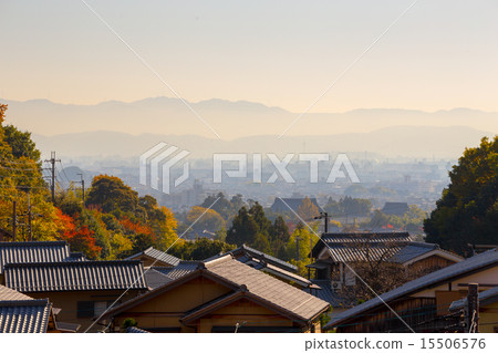 Saga Torii's autumn leaves Saga Torii's autumn leaves 15506576