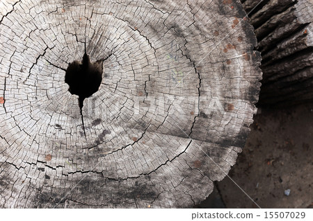 wood texture background wood texture background 15507029