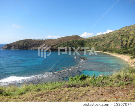 哈瑙瑪灣（夏威夷） 15507074