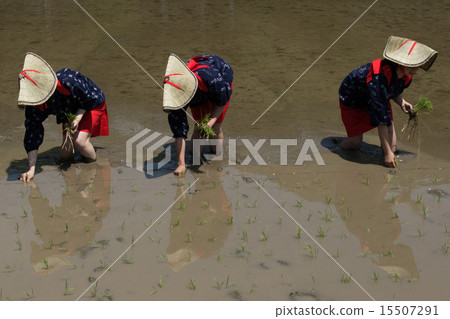 Shot at Kayabuki no Sato in Miyama Town, Nantan City, Kyoto Prefecture 15507291