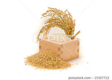 進入廣場的白米飯 15507722