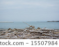 Sea	 15507984