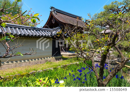 虹膜 -  Okinomiya Taisha 15508049