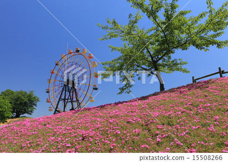 Ferris wheel of Tokyo German village 15508266