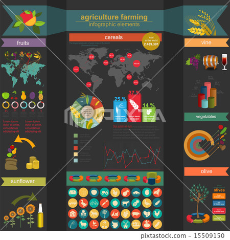 Agriculture, farming infographics Agriculture, farming infographics 15509150
