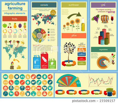 Agriculture, farming infographics 15509157