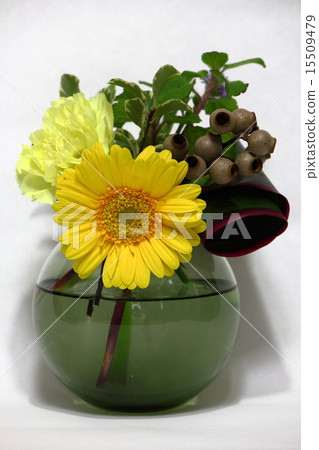 黃色雜色菊屬植物 15509479