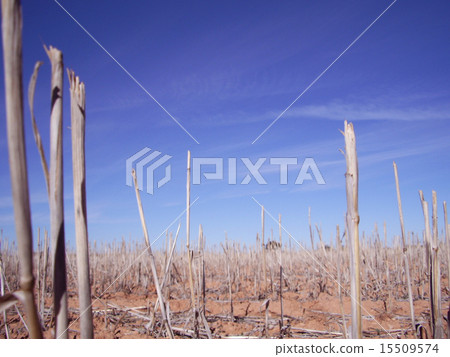 Australia Mildura Outback Australia Mildura Outback 15509574