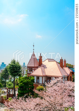 Sakura and windmill chin houses 15509655