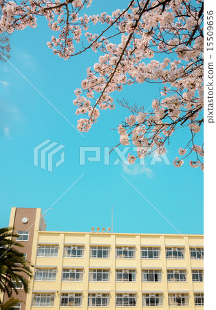 Sakura and elementary school Sakura and elementary school 15509656