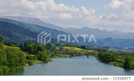 Ozeki Bashi and Nanohana Park 15509977