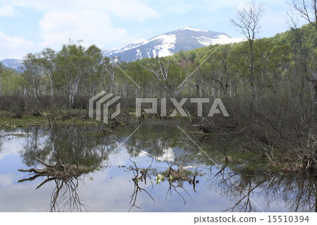 Spring Ozegahara 15510394