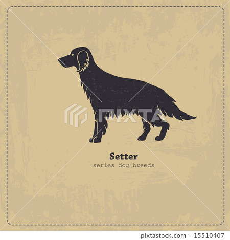 Irish Setter dog silhouette 15510407