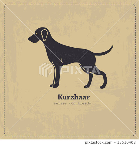 Kurzhaar  dog silhouette 15510408