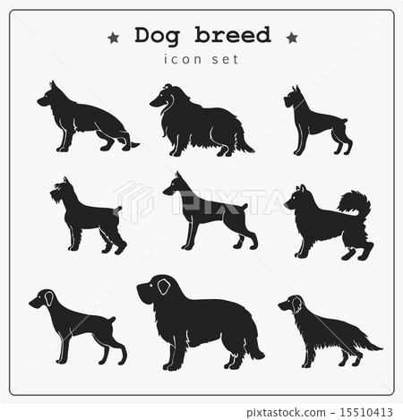 Set of dog breed icons Set of dog breed icons 15510413